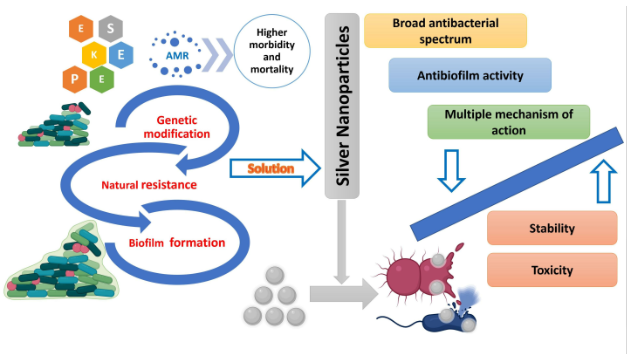 Antimicrobial 