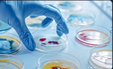 Antimicrobial