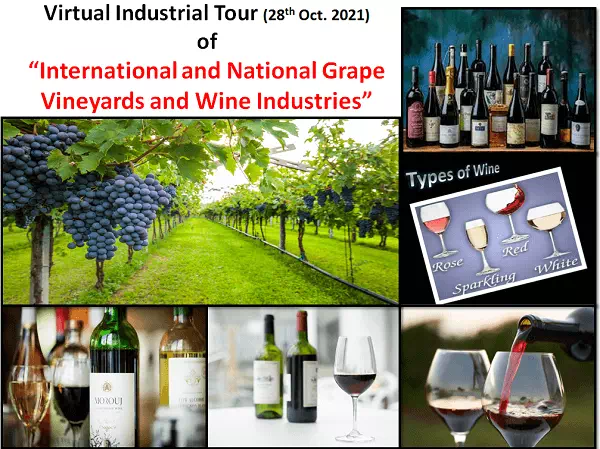 Virtual Industrial Tour of “International and National Grape Vineyards and Wine Industries” in Food Technology