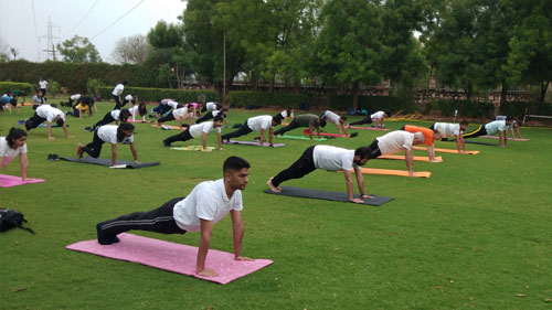 International Yoga Day