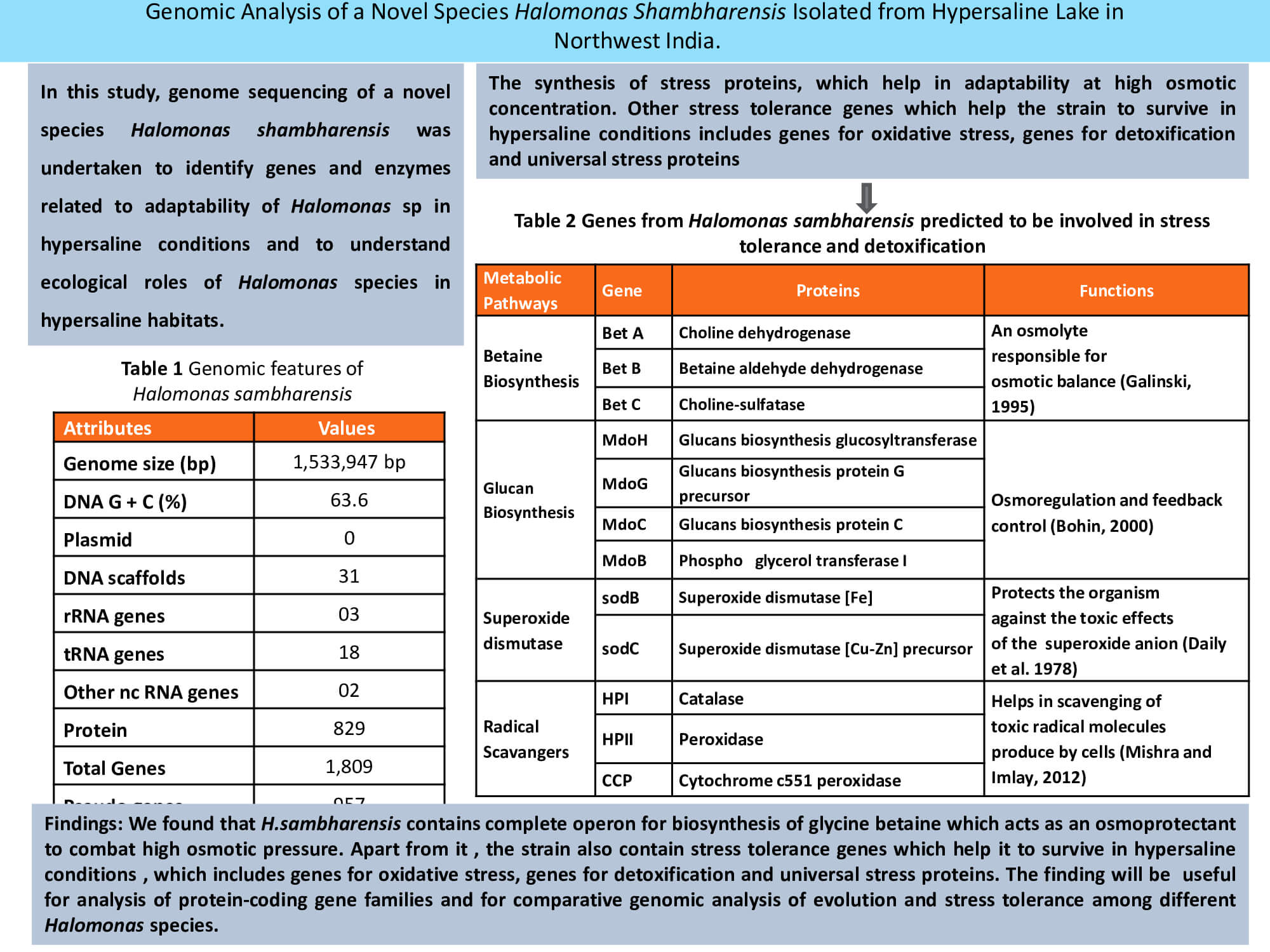 Genomic analysis of a novel species Halomonas shambharensis isolated from hypersaline lake in Northwest India