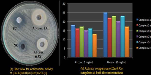 Characterization and Preliminary Antifungal Activity of Some Co(II) and Zn(II) Complexes Derived from Oximes of 2-Acetyl Aromatic Heterocycles