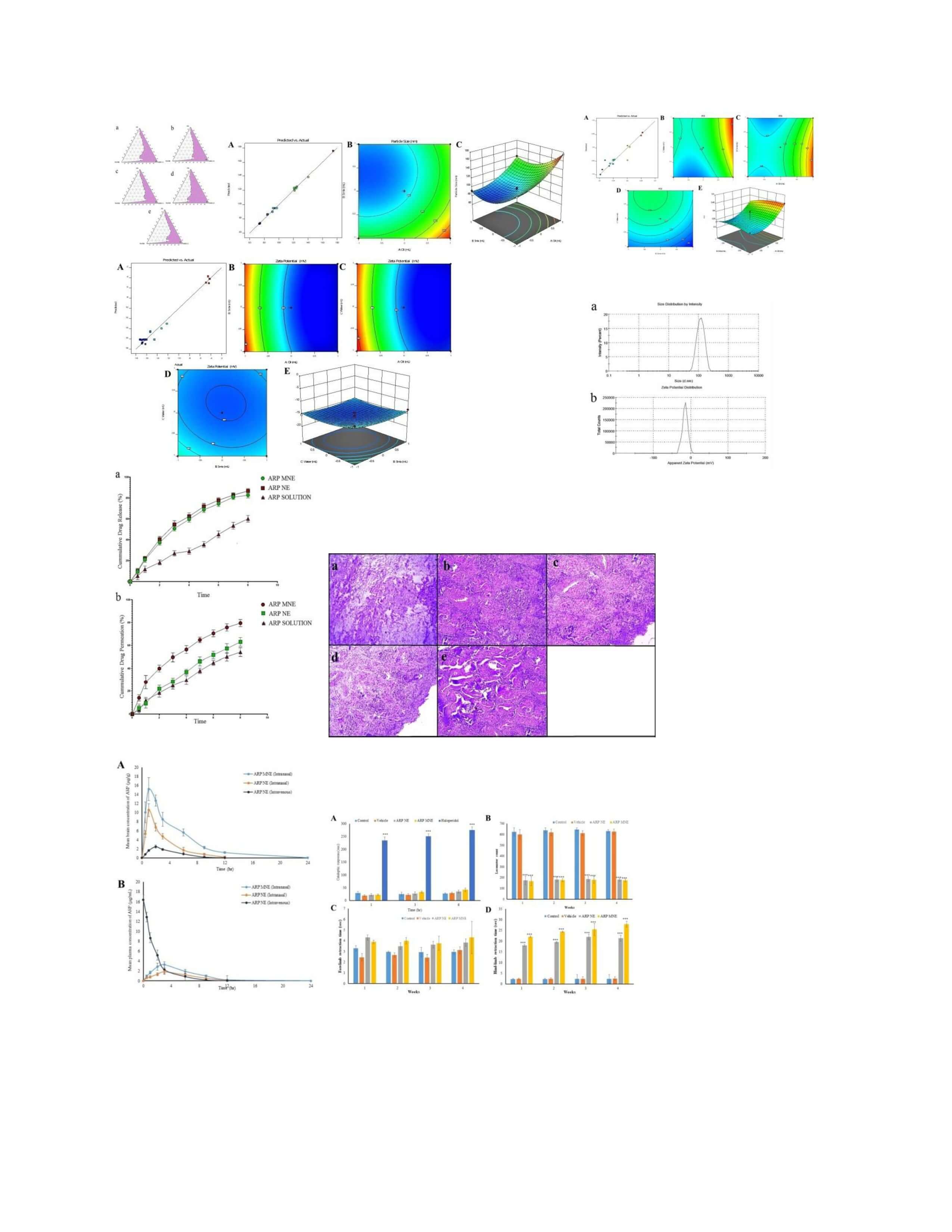 Chemometric Approach For Developing Nanostructured Selfemulsifying Drug Delivery Systems Of Rosuvastatin Calcium Containing A Dietary Lipid With Improved Biopharmaceutical Performance