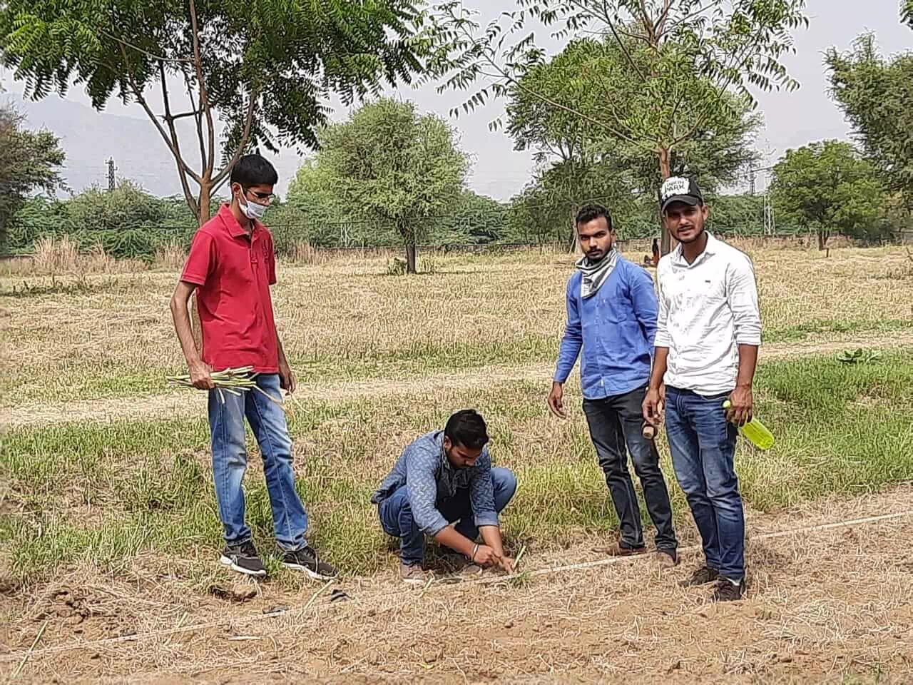 TRAINING ON RURAL AGRICULTURAL WORK EXPERIENCE AT KVK AJMER