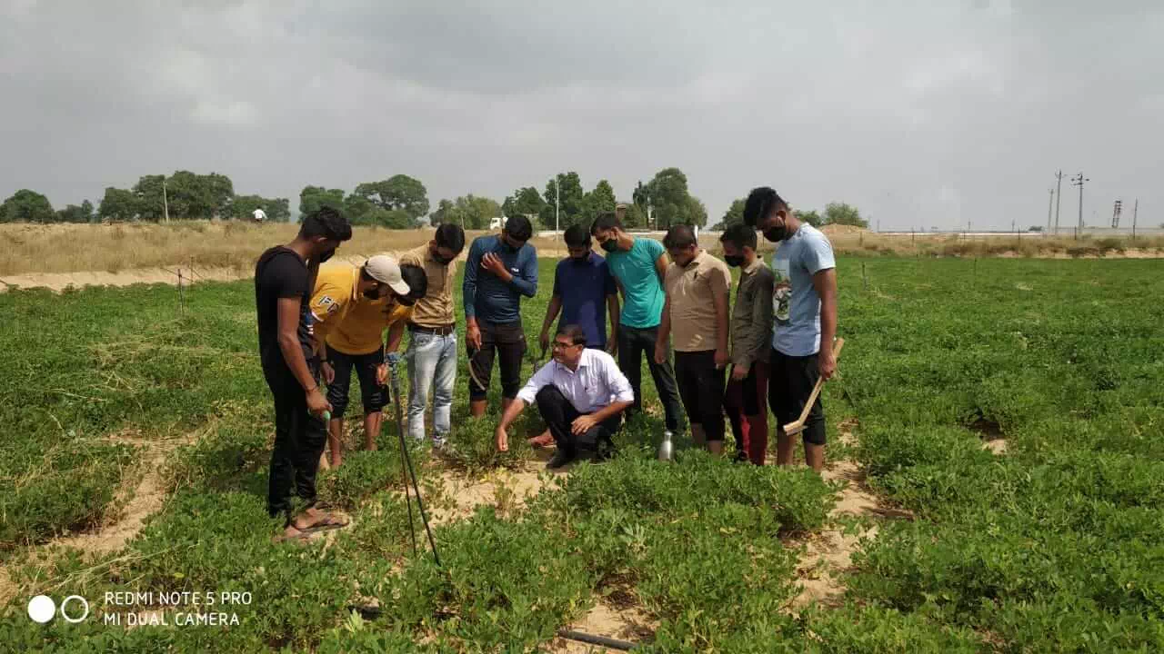 TRAINING ON RURAL AGRICULTURAL WORK EXPERIENCE AT KVK KOTPUTLI