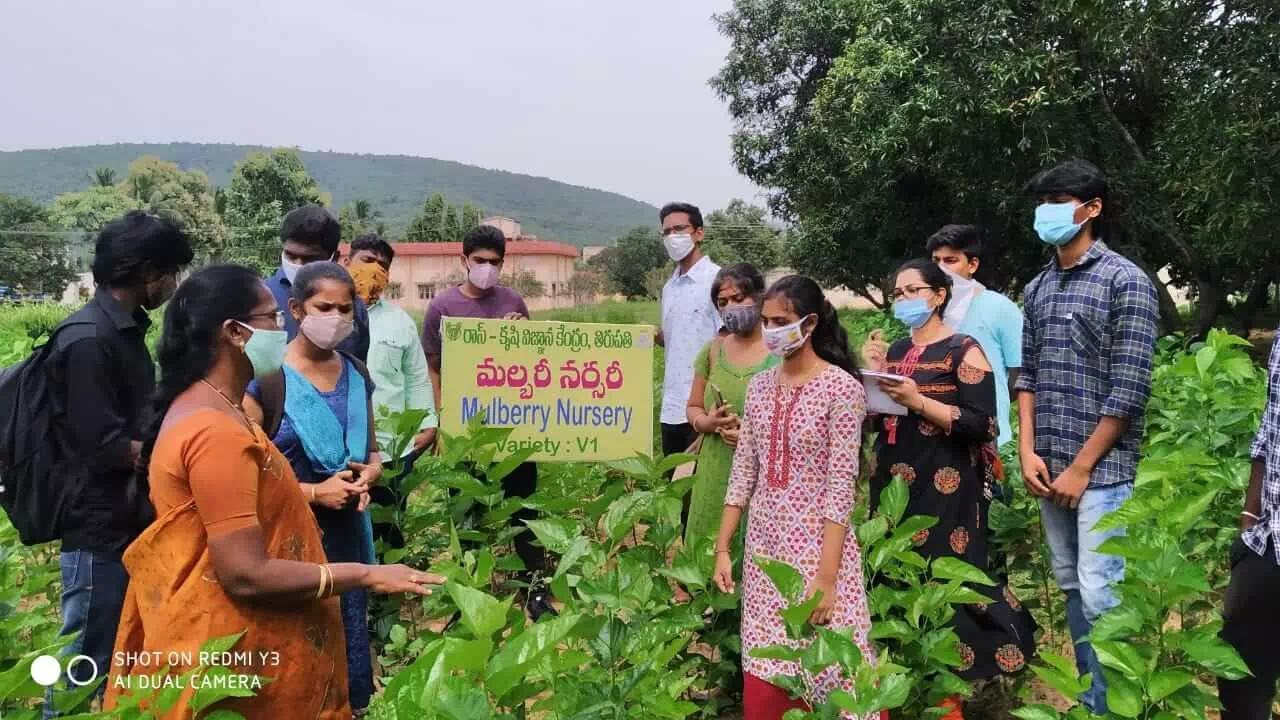Training on rural agricultural work experience at KVK Tirupati