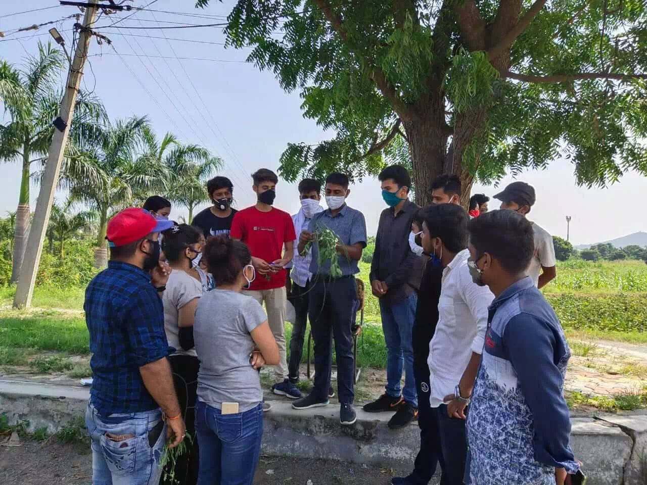 Training on rural agricultural work experience at KVK Udaipur