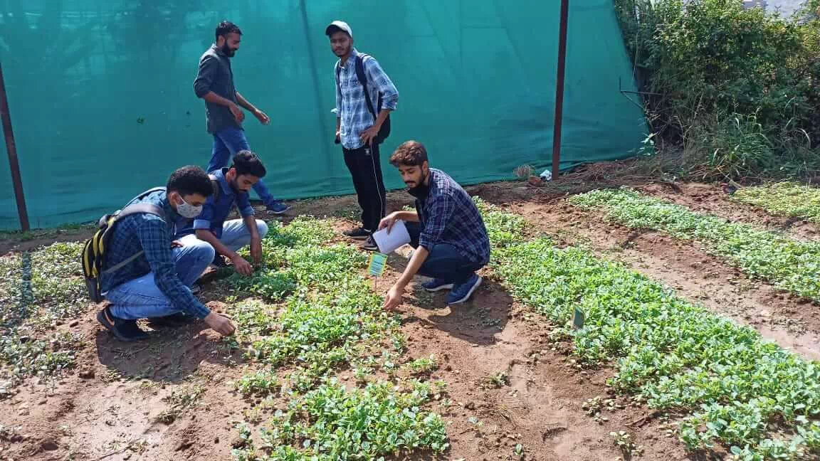 Training on rural agricultural work experience at KVK Udaipur