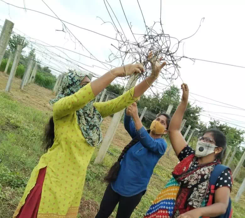 Training on rural agricultural work experience at KVK Zaheerabad