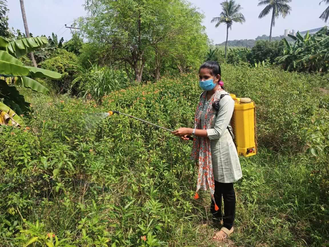 Training on rural agricultural work experience at KVK Zaheerabad