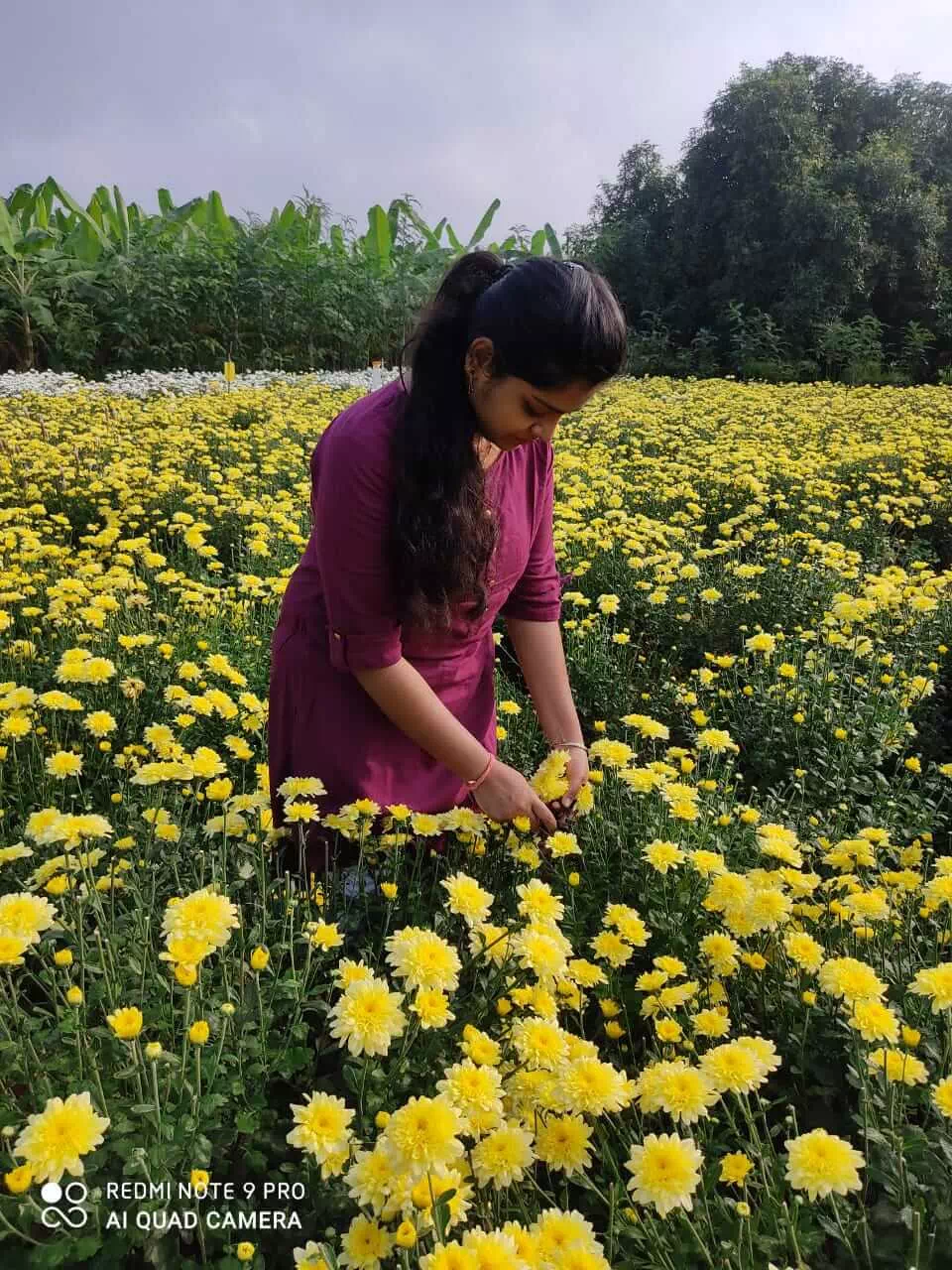 Training on rural agricultural work experience at KVK Zaheerabad