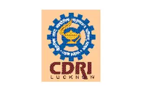 Industrial Training & Projects