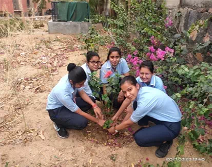 Environmental Day