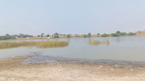 Sambhar Lake Visit
