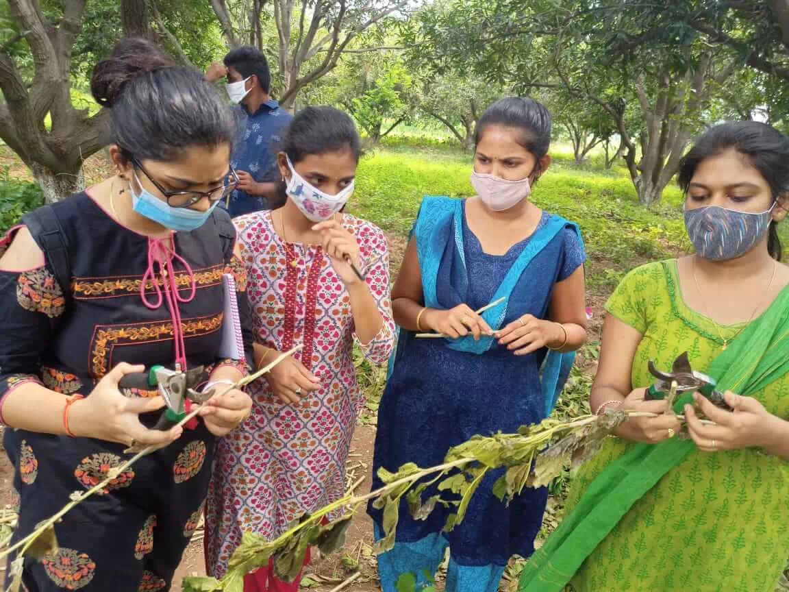 Training on rural agricultural work experience at KVK Tirupati