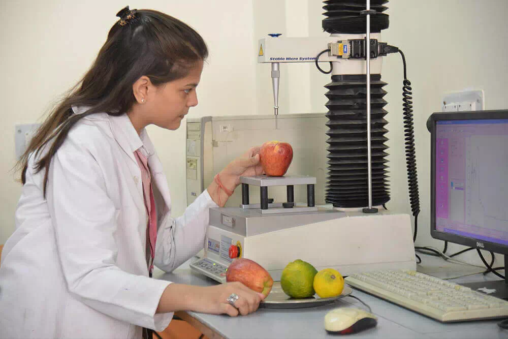 Workshop at Food Tech Department
